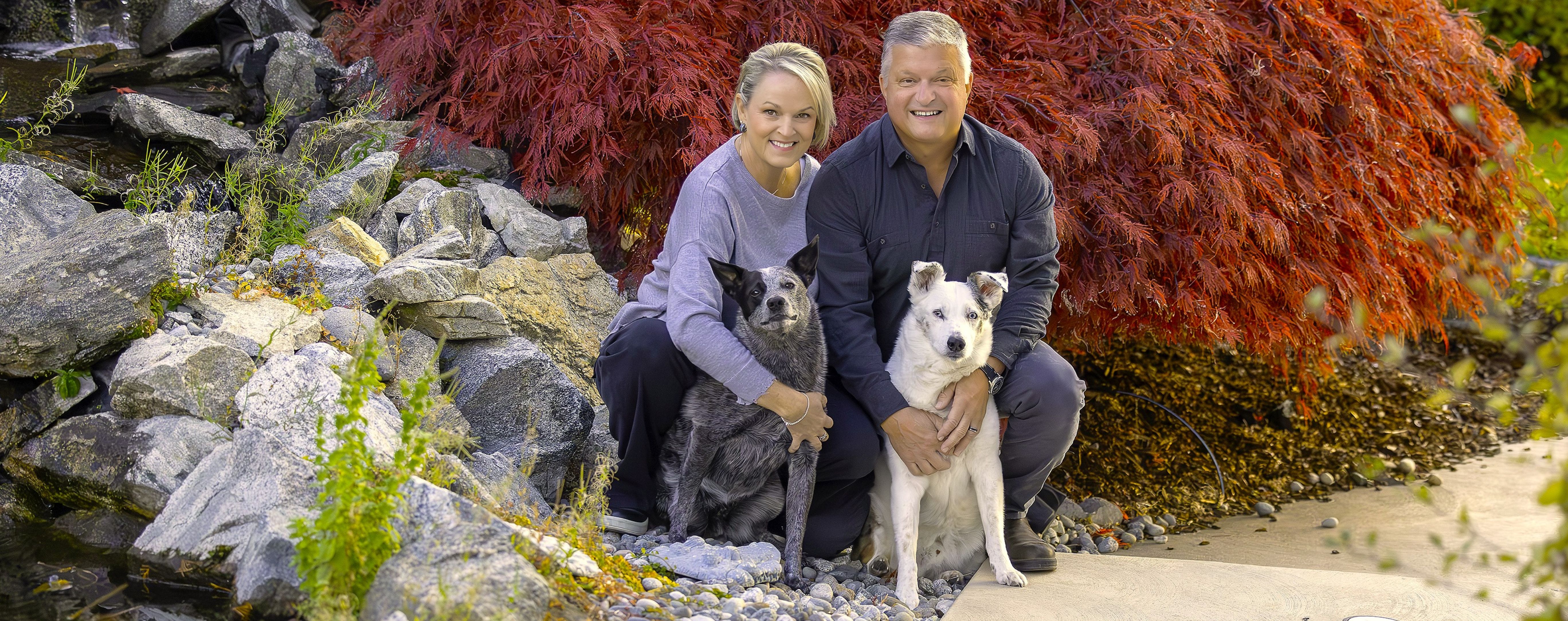 Team Apex Building Services